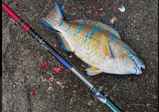 釣具 フカセ竿 インテッサG-IV (G4) 1.25-50 希少品✨