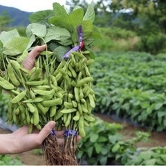 多くのお問い合わせありがとうございました。