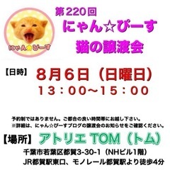 8月6日(日)🌸にゃん☆ぴーす猫の譲渡会🌸「アトリエTOM」JR...