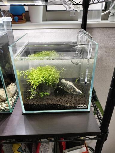 ＡＤＡ 20センチキューブ水槽　エーハイム2211