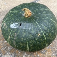 無農薬　かぼちゃ　1.2キロ