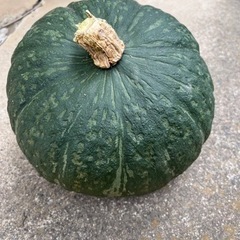 自家栽培　かぼちゃ　　約2キロ