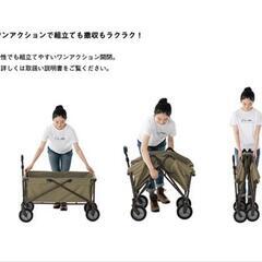 LOGOS SNOOPY (洗える）キャリーカート 美品