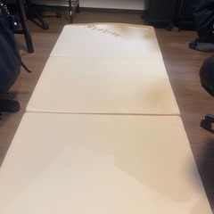 トゥルースリーパー プレミアケア 布団タイプ 低反発マットレス シングル 厚さ5cm ホワイト