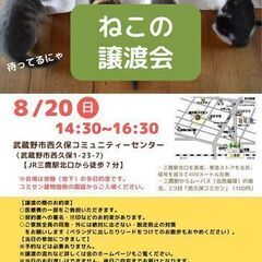 むさしの地域猫の会　猫ちゃん 譲渡会