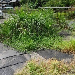 草むしり除草のお手伝いを致します！