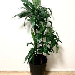 インテリア 観葉植物 フェイクグリーン 140cm