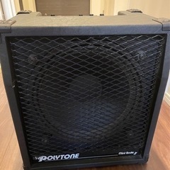 取引中)ARIA Elecord CE60 & POLYTONE Mini Brute II