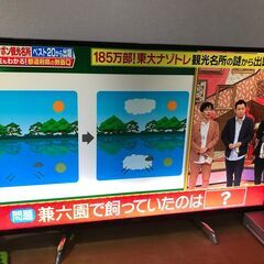 49インチ液晶テレビ　TH49DX750 ４K　2017年5月新...