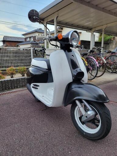 AF24ジョルノ‼️‼️