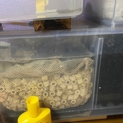 早急!!お盆まで特別激安!!1200水槽一式  バラ売り可!!