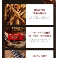 高麗紅参、霊芝、鹿茸サプリ120粒✨新品✨