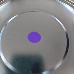 オリジナルカラー ソリッド パープル 紫 PG80 0.5kg ...