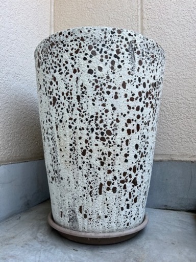 鉢
