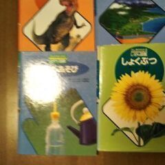 さしあけます！子ども用自然図鑑４冊