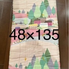 長い座布団　48×135 