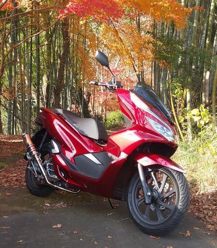 極上車 PCX 81 125
