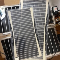 オオクワガタ引退セット