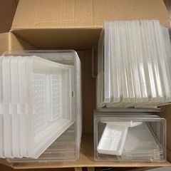 オオクワガタ引退セット