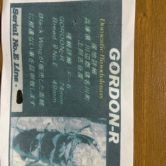 オオクワガタ引退セット