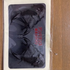 オオクワガタ引退セット