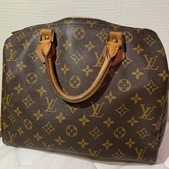 【ネット決済・配送可】【美品】LOUIS VUITTON