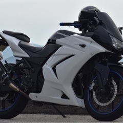 【ネット決済】kawasaki Ninja250R