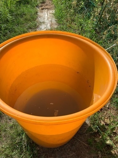 水入ダンク