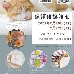 8/20 🐱 猫の譲渡会&ワークショップ