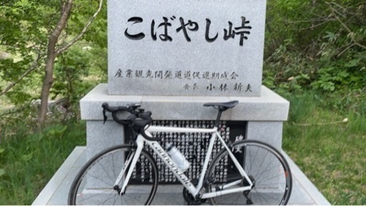 キャノンデール CAAD12