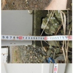 屋外用　大型物置　棚付き