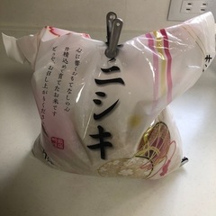 胚芽米　ササニシキ