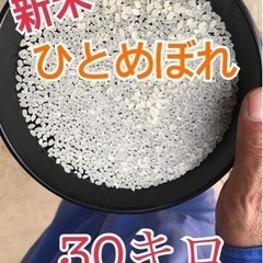 新米！新米予約！令和6年9月収穫！ひとめぼれ 30キロ！