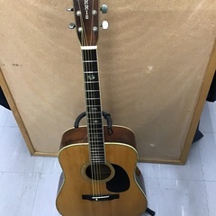 Morris W-40 アコースティックギター