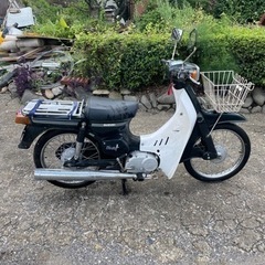 スズキ　バーディー　50cc