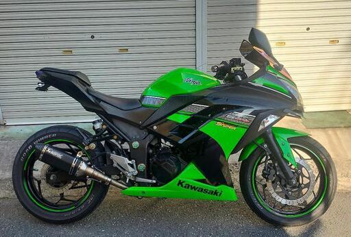 kawasaki ニンジャ250 スペシャルエディション　44037キロ