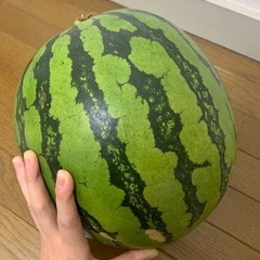 スイカ🍉 1玉