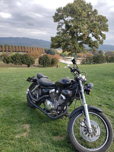 ビラーゴ250