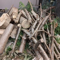 伐採後の枝、丸太　薪などにどうぞ。