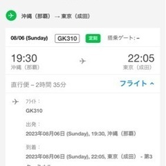 【ネット決済・配送可】ジェットスター航空券（8/6(日)那覇→成田）