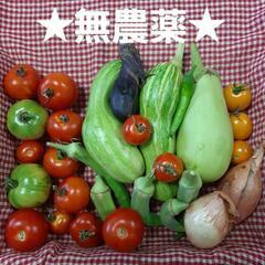 ★無農薬★トマトたっぷり夏野菜セット