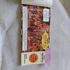 長島温泉　湯あみの島　入泉券など