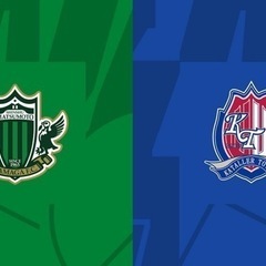 【終了】松本山雅FC 8/12自由席チケット（1枚）