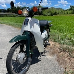 カブ50 C50