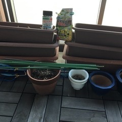 プランター(土入り)植木鉢、肥料など