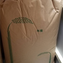 米　令和5年産　福岡県産　ヒノヒカリ玄米  全在庫決まりました　