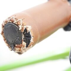 SHULZ 「シュルツ」 BUBBLE 16 キッズバイク / 有明ガーデン店 ITIOB4QDNPLI