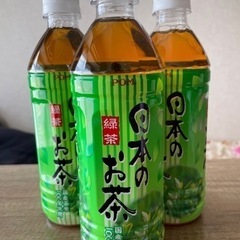 【予定者決定】緑茶　500mL×23本