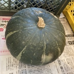 かぼちゃ丸々１個 農家の野菜