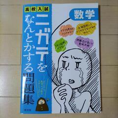 高校入試 ニガテをなんとかする問題集 数学